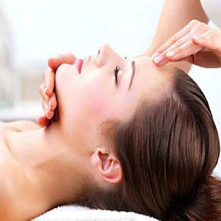 Hotel Chateau De L'ile 3*